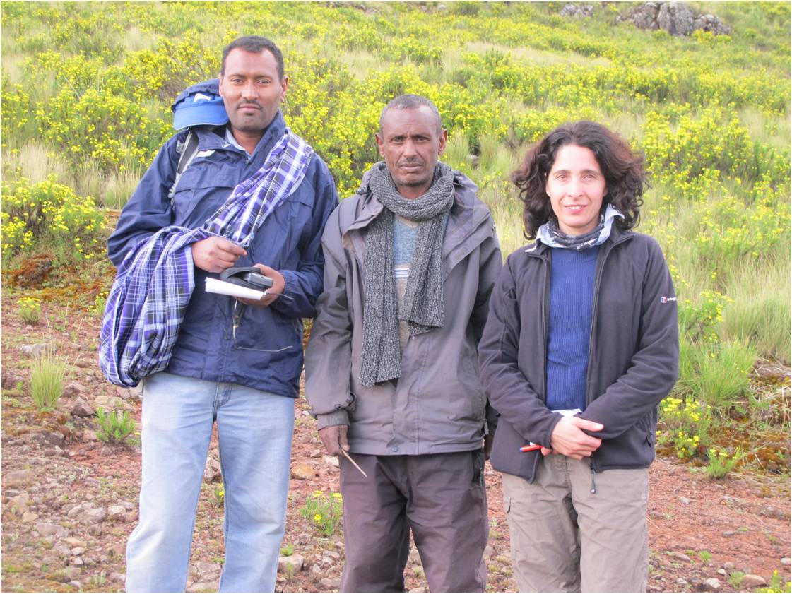 rodent trapping team in South Wollo